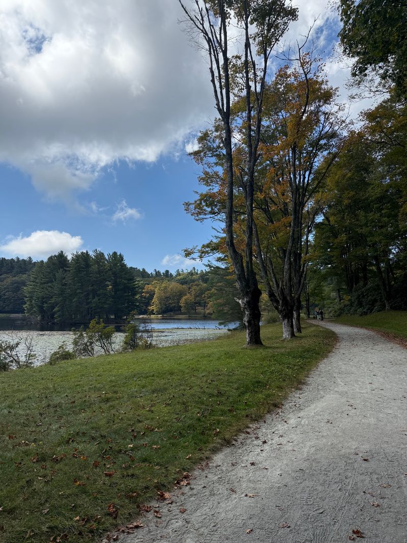 Gravel carriage trail along Bass Lake in early fall, lined with trees starting to turn gold and orange, with the lake on the left